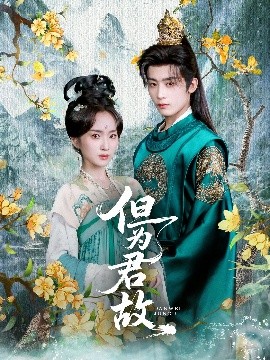 但为君故封面图