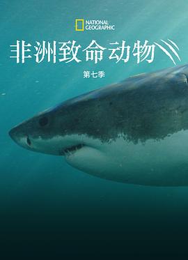 非洲致命动物第七季封面图