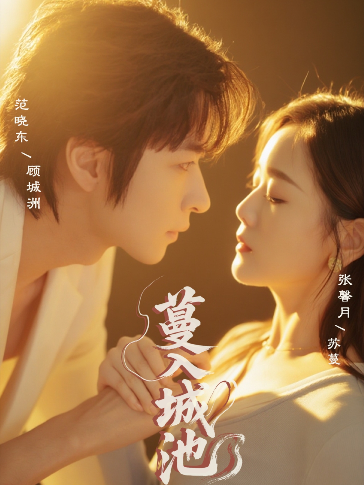 蔓入城池封面图