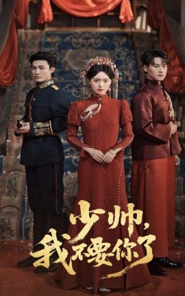 少帅，我不要你了封面图