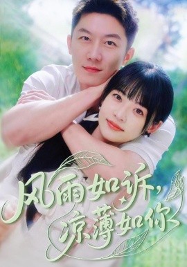 风雨如诉，凉薄如你封面图