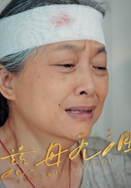 慈母无泪封面图