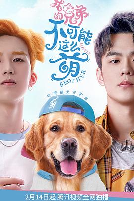 我的兄弟不可能这么萌封面图