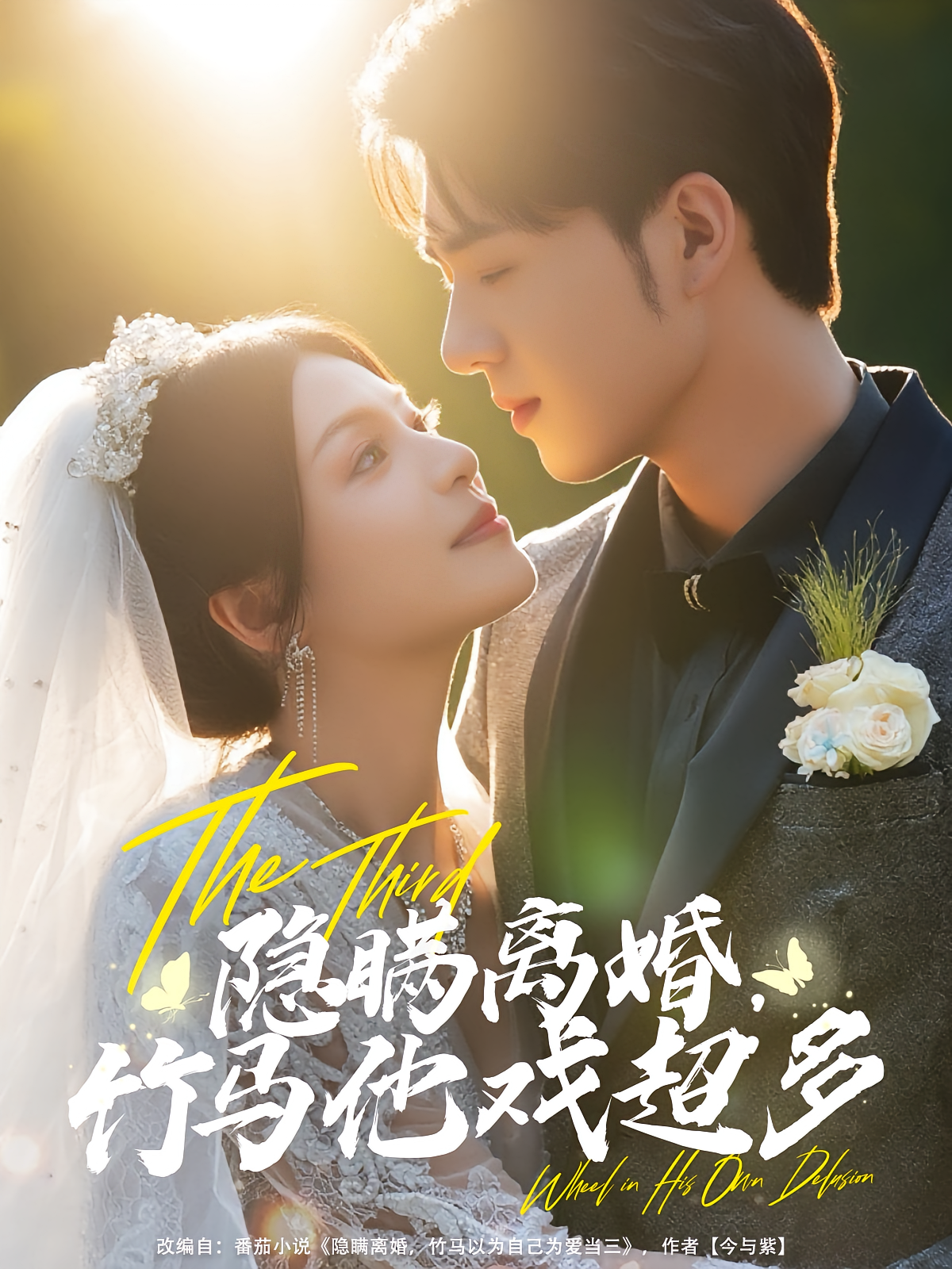 隐瞒离婚竹马他戏超多封面图