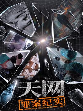 天网：罪案纪实封面图