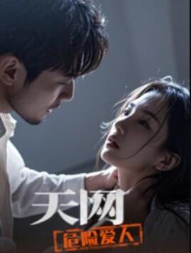 天网：危险爱人封面图