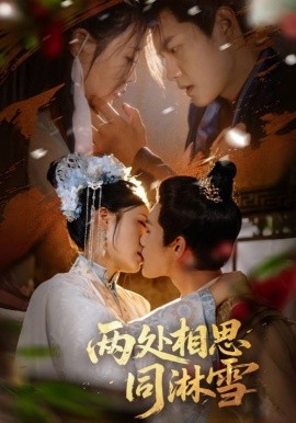 两处相思同淋雪封面图