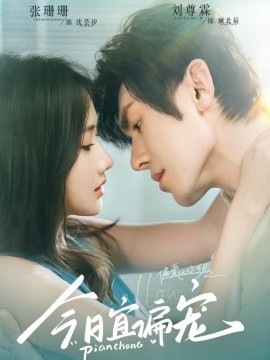 今日宜偏宠封面图