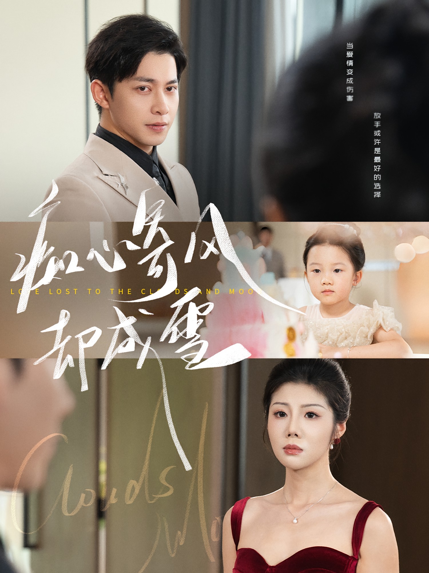 痴心寄风却成雪封面图