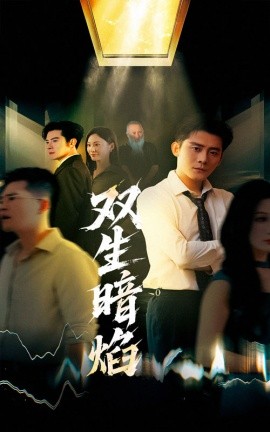 双生暗焰封面图