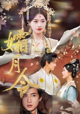 孀月令封面图