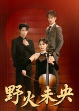 野火未央封面图