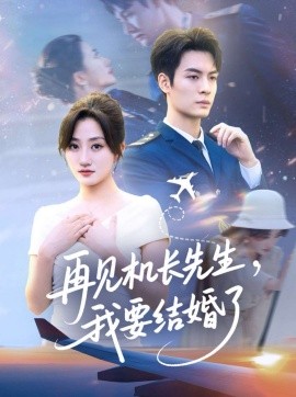 再见机长先生，我要结婚了封面图