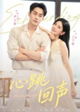 心跳回声封面图