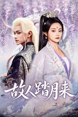 故人踏月来封面图