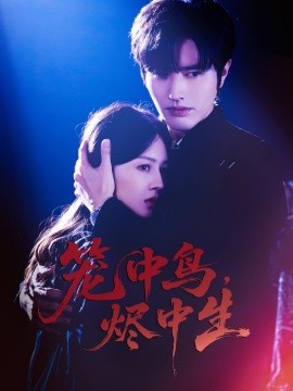 笼中鸟，烬中生封面图