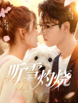 听雪灼烧封面图