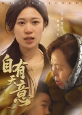 自有天意封面图