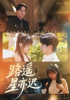 路遥星亦迟封面图