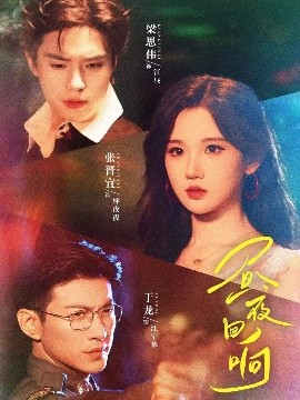 昼夜回响封面图