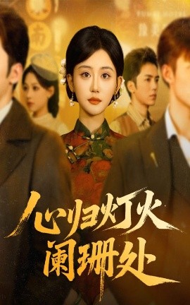 心归灯火阑珊处封面图