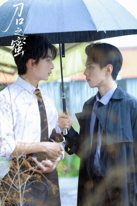 刀口之蜜封面图