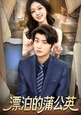 漂泊的蒲公英封面图