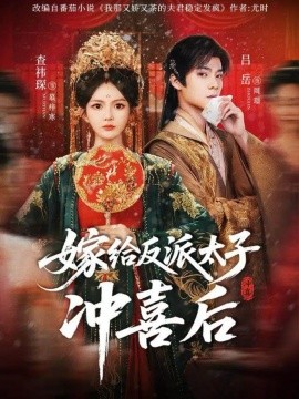 嫁给反派太子冲喜后封面图