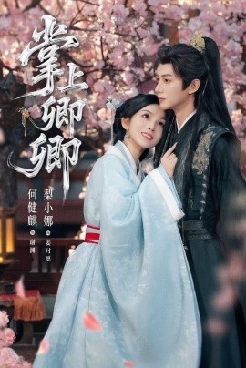 掌上卿卿封面图