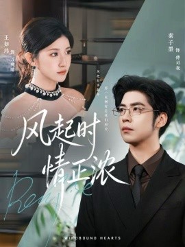 风起时情正浓封面图