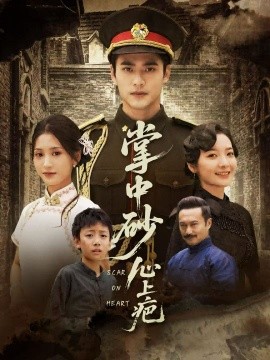 掌中砂心上疤 踏平山河难见卿封面图