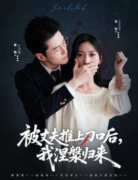 复婚抱歉我只谈判不谈情 被丈夫推上刀口后，我涅槃归来封面图